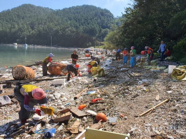 지난 24일 여수시 남면 화태도 묘두마을 해변에서 공무원과 군인, 마을 주민 등 100여 명이 태풍 ‘타파’로 발생한 해양쓰레기를 수거하고 있다.(사진=여수시 제공)